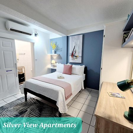 Silver View Apartments St. George's Extérieur photo
