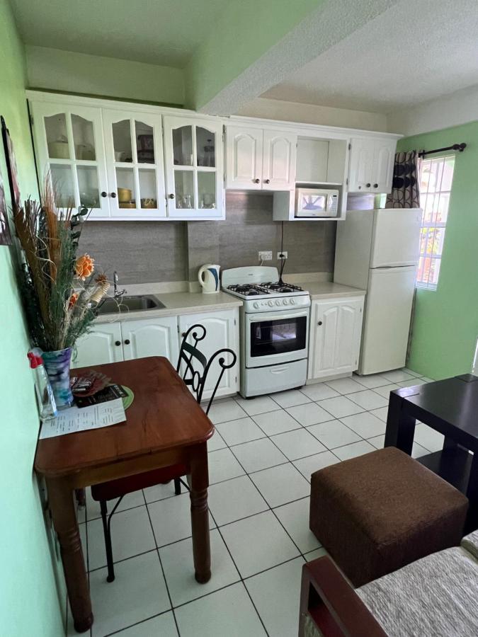 Silver View Apartments St. George's Extérieur photo